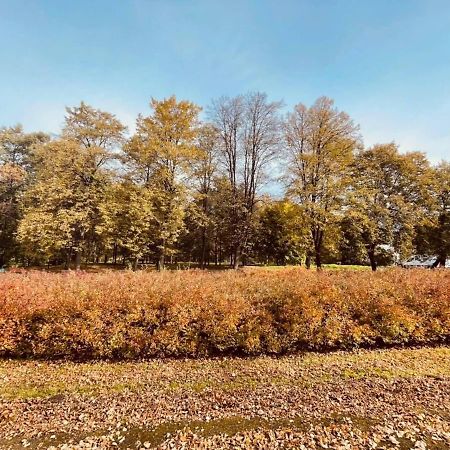 Apartamenty Ktw Silesia City Center - Park Slaski Katowice Kültér fotó