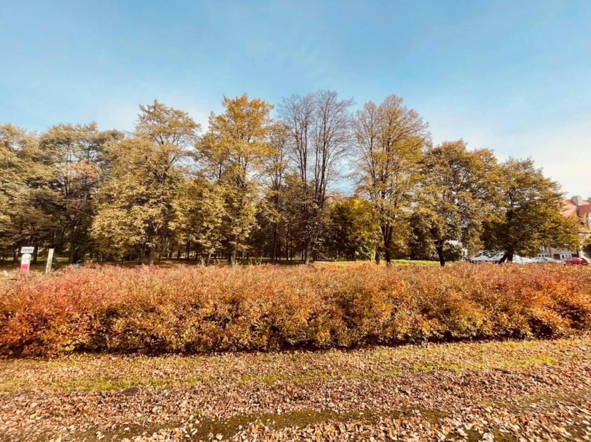 Apartamenty Ktw Silesia City Center - Park Slaski Katowice Kültér fotó